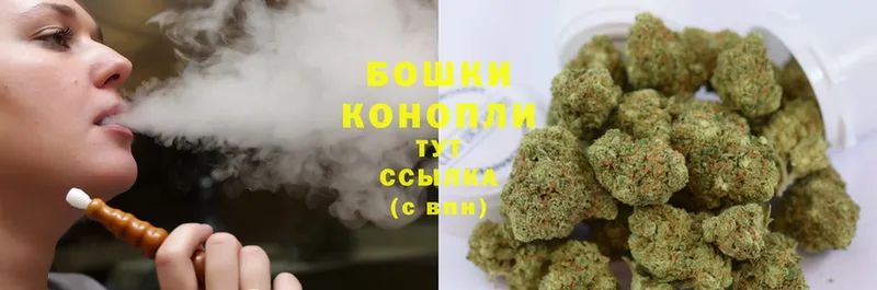 Бошки Шишки конопля  Зерноград 